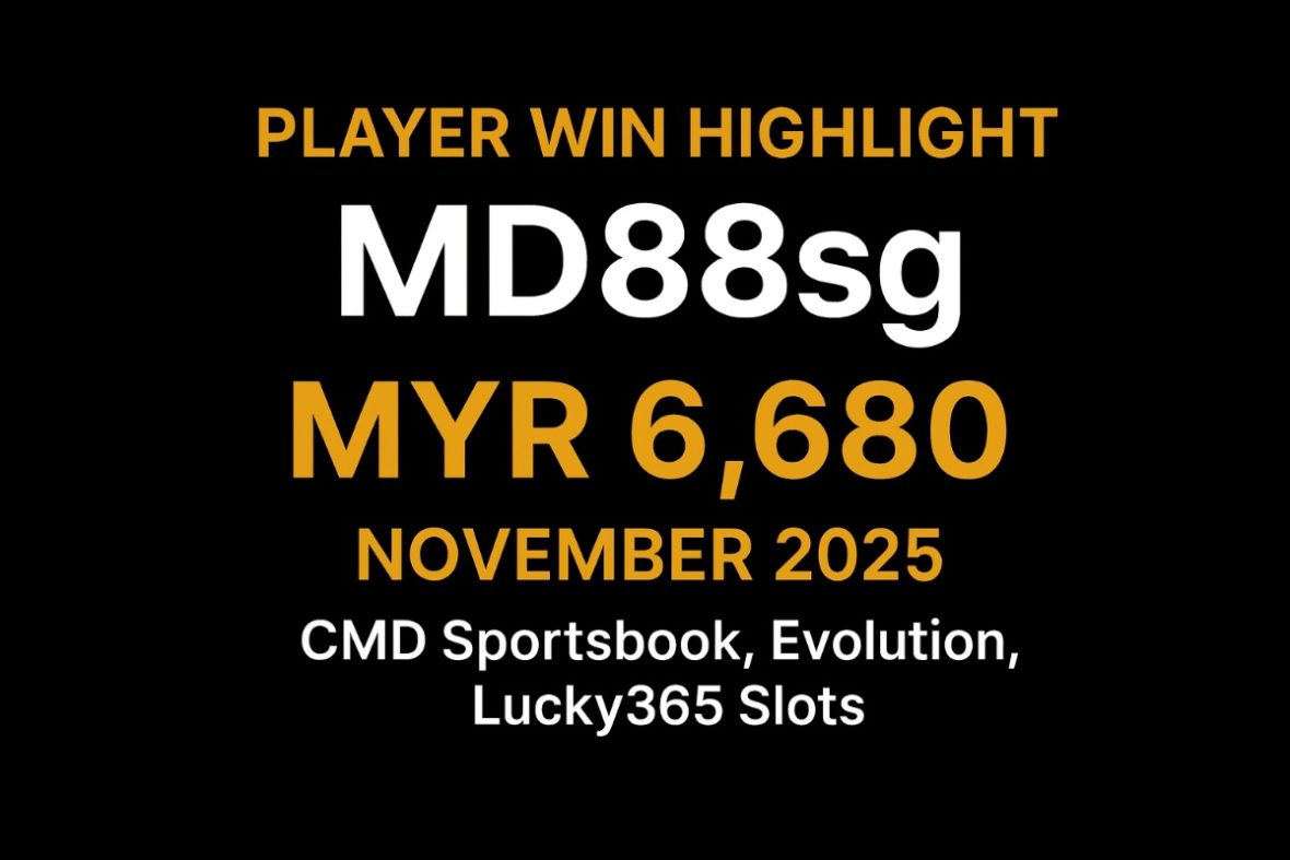 VWORLD VIP Player MD88sg