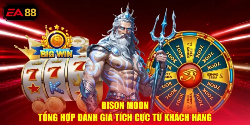 Bison Moon - Tổng Hợp Đánh Giá Tích Cực Từ Khách Hàng