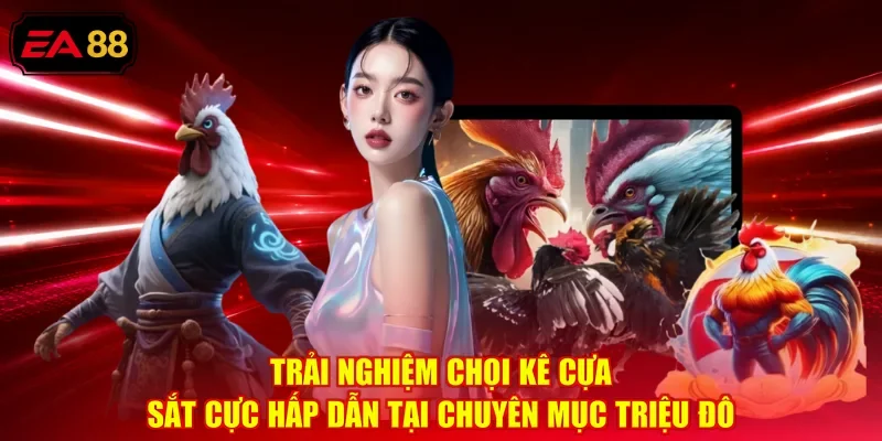 Trải nghiệm chọi kê cựa sắt cực hấp dẫn tại chuyên mục triệu đô
