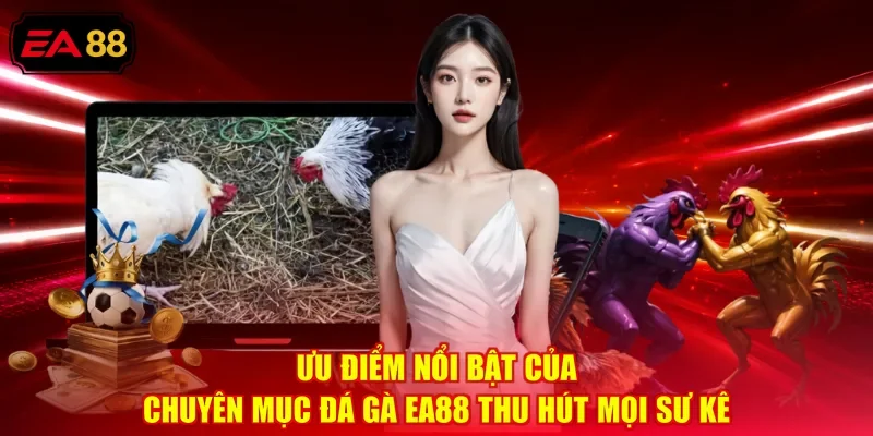 Ưu điểm nổi bật của chuyên mục Đá gà EA88 thu hút mọi sư kê